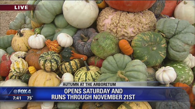 Dallas Arboretum's fall festival opens Saturday