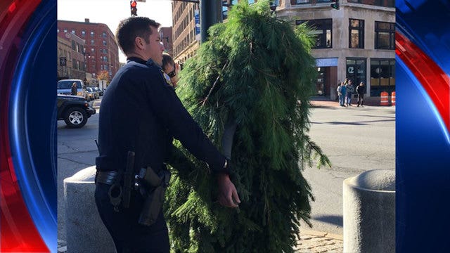 Police: Man dressed as tree arrested for blocking traffic
