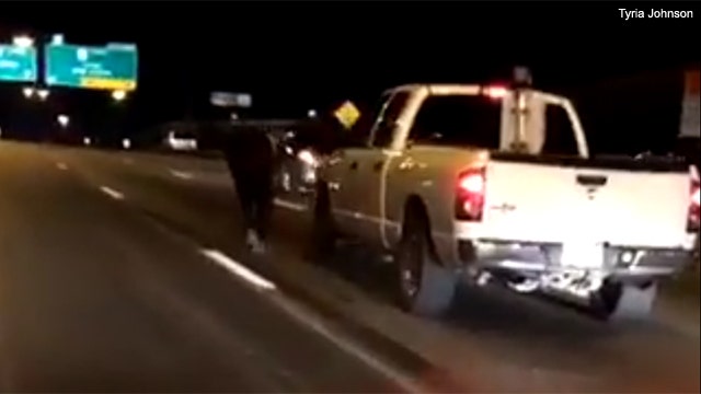 VIDEO: Bull runs through Dallas traffic