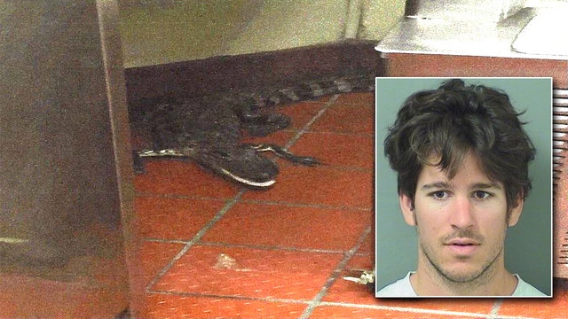 Man accused of throwing gator through drive-thru window
