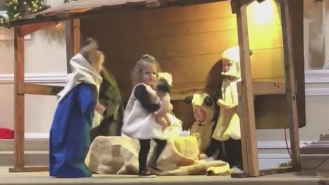 Mary, sheep vie for baby Jesus during children's nativity
