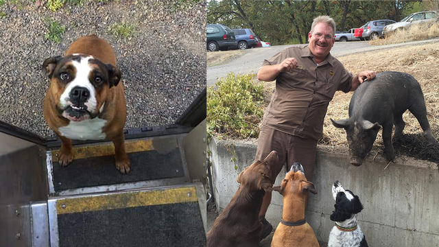 Viral photo shows adorable dog ‘extorting' UPS driver for biscuits