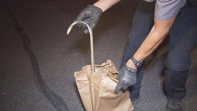 Police: Suicide possibility in Austin cobra owner's death