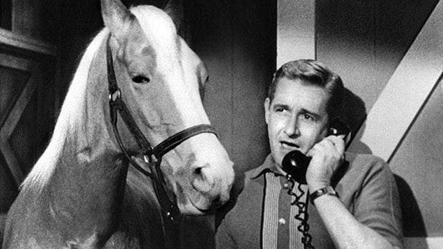 Alan Young, star of 60s sitcom 'Mr. Ed,' dies at 96