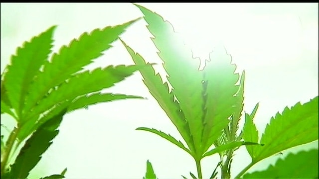 Marijuana bundle drops from sky, slams into family's carport