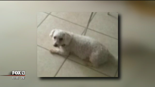 Bill could allow pet owners to sue if pet gets hurt