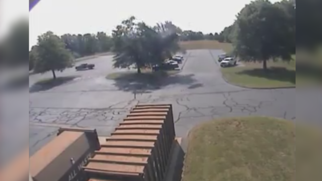 Pilot OK after plane strikes tree, lands in Connecticut parking lot