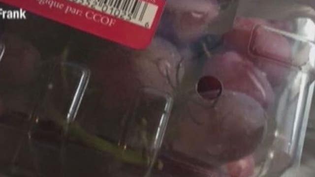 Woman Says She Found Black Widow Spider in Package of Grapes