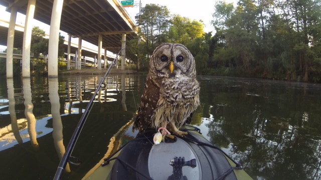Man reels in unexpected catch