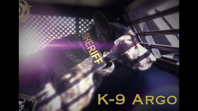 Beloved police dog received his Last Call before he died