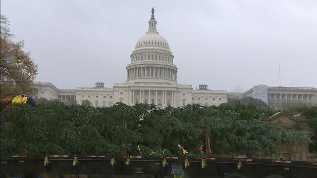 US Capitol Christmas Tree arrives in DC