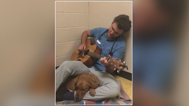 ADORABLE: Vet sings to nervous pup before her surgery