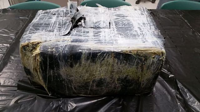 Florida detective reels in 50 pounds of cocaine worth millions while fishing