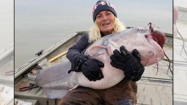 Woman catches 'monster' 88-pound catfish on Kentucky Lake, says it's a 'personal best'