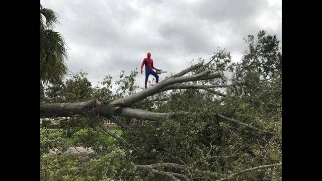 Spider-Man comes to the rescue after Hurricane Irma