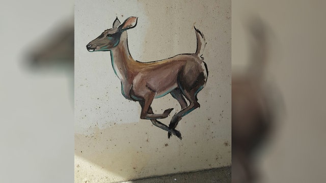 North Texas leaders looking for artist who painted on tunnel