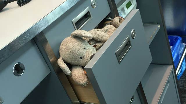 Beloved Teddy Bear is Reunited with Family after Fun Airport Adventure