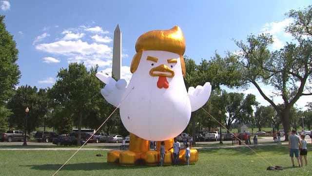 Giant inflatable chicken resembling President Donald Trump placed near White House