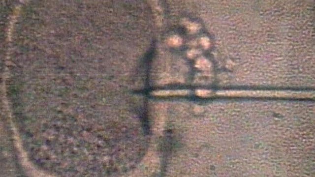 Texas Gov. Greg Abbott reacts to Alabama court's IVF ruling