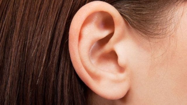 'Scratching noise' in woman's ear caused by spider weaving web