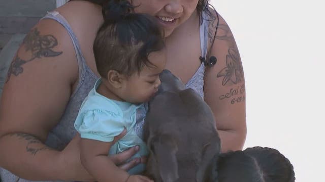 Family dog helps save family from fire