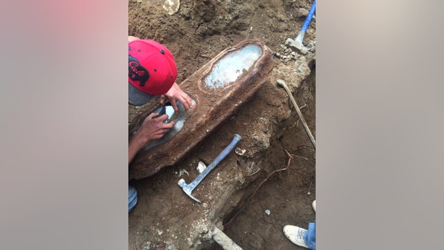 Construction workers unearth 19th century coffin containing well-preserved girl under SF home