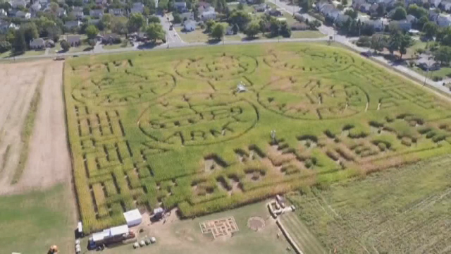 Corn maze honors America's Military men and women