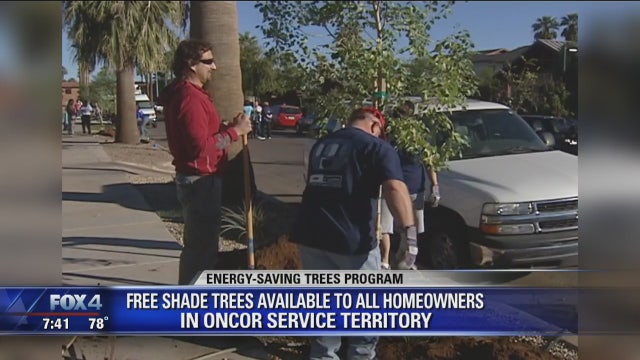 Oncor offering customers free shade trees