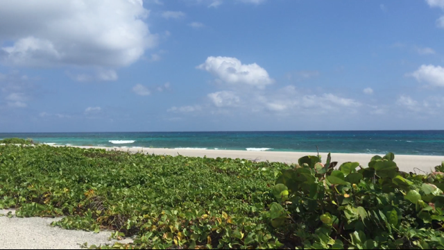 Hawaii looks to mainland to deal with big teacher shortage