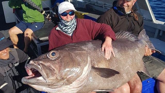 68-year-old woman catches 130-pound ‘monster' fish on casual trip