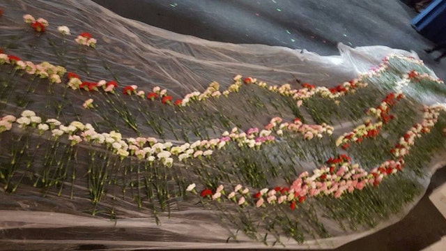 Teen buys 900 flowers - enough for every girl at school for Valentine's Day