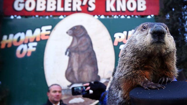 Punxsutawney Phil sees his shadow, 6 more weeks of winter
