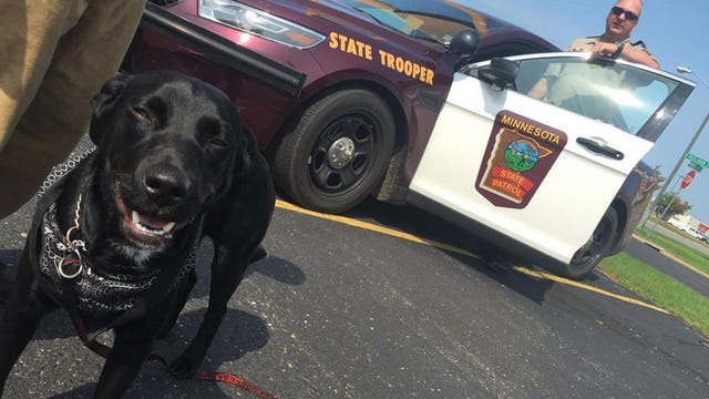 Black lab, best friend saved by unexpected 911 call