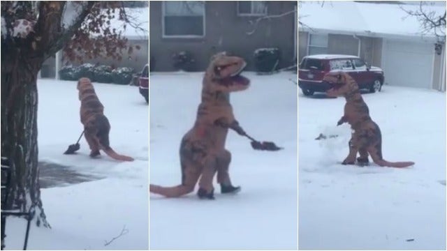 MUST SEE: Dinosaur Shovels Snow