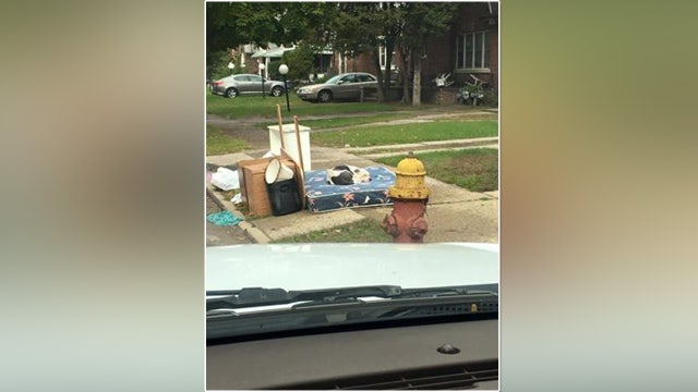 Abandoned pup waited on discarded mattress for owners to return
