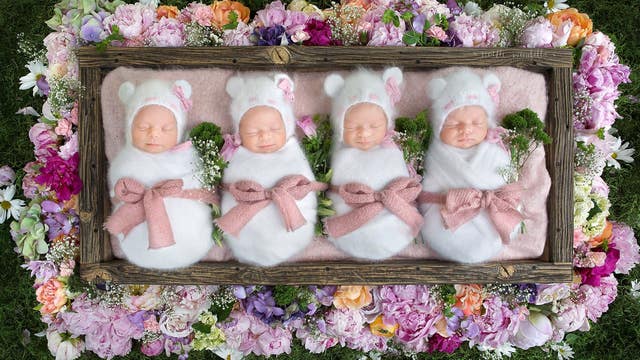FOUR ANGELS: Identical quadruplets snuggle in photo shoot