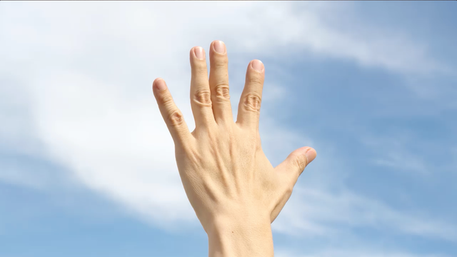 Celebrate left handed people!