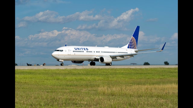 Passenger stung by scorpion on United Airlines flight from Houston