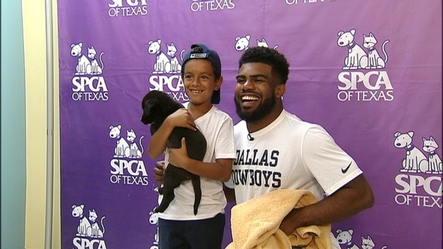 Cowboys RB Ezekiel Elliott sponsors SPCA pet adoption drive