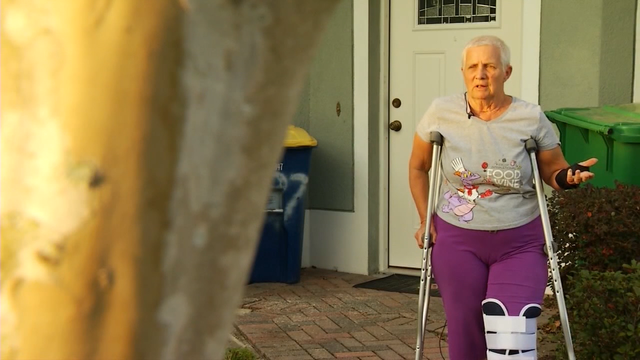 Grandmother fights off would-be carjackers