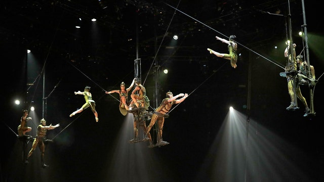 Cirque du Soleil performer falls to his death at Florida show