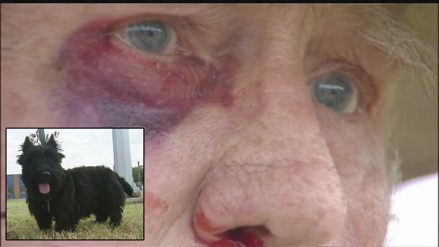 Dog leads elderly Dallas man home after attack