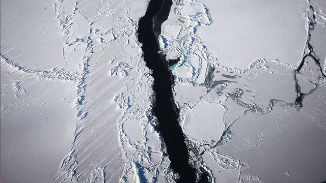 Scientists say a massive iceberg has broken off in Antarctica