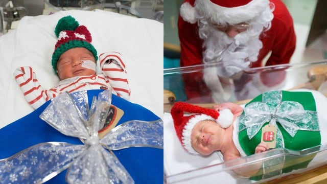 Newborn babies in ICU wrapped as gifts for their first holidays