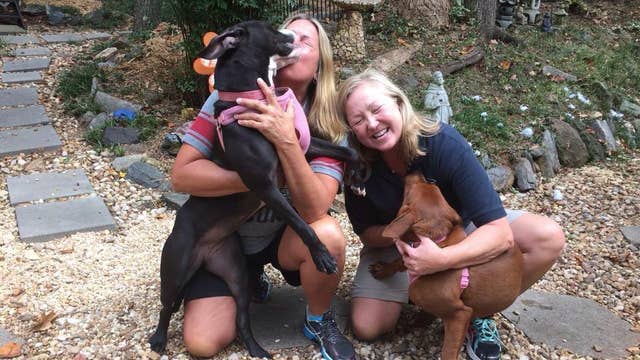 Famous 'Hugging Dogs' Find Forever Home