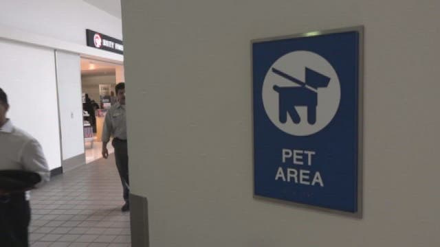 LAX opens doggy bathrooms inside airport