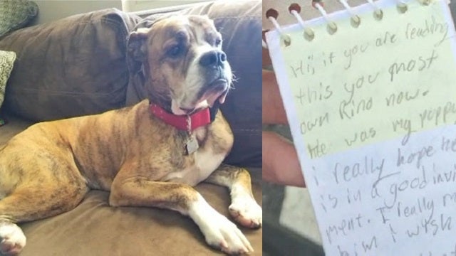 Dog left at shelter along with heartbreaking note from little girl