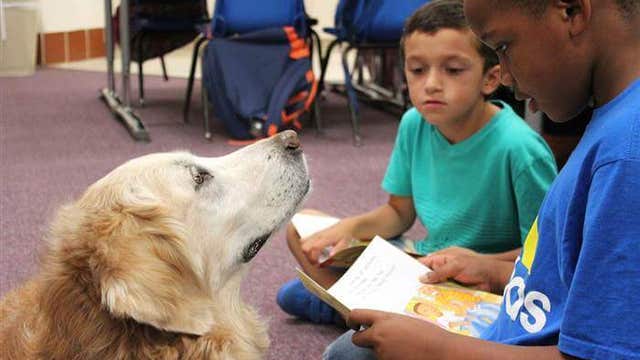 Last known living 9/11 search dog dies in Texas at age 16