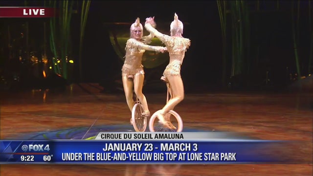 Cirque du Soleil Amaluna opens Wednesday in North Texas