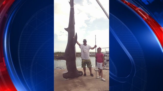 Texas fisherman catches 1,033 pound hammerhead